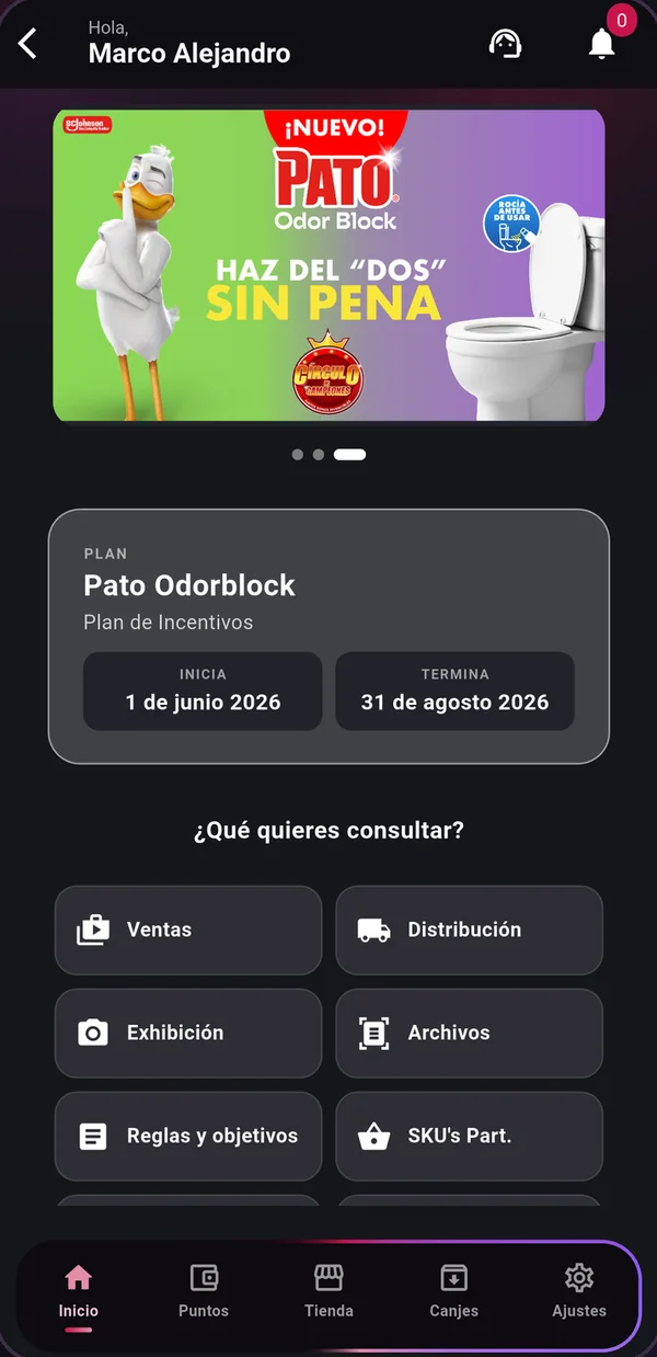 Fuerza Maestra · Detalle de un plan de incentivos