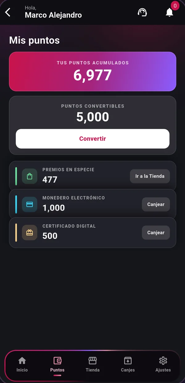 Fuerza Maestra · Puntos acumulados y convertibles